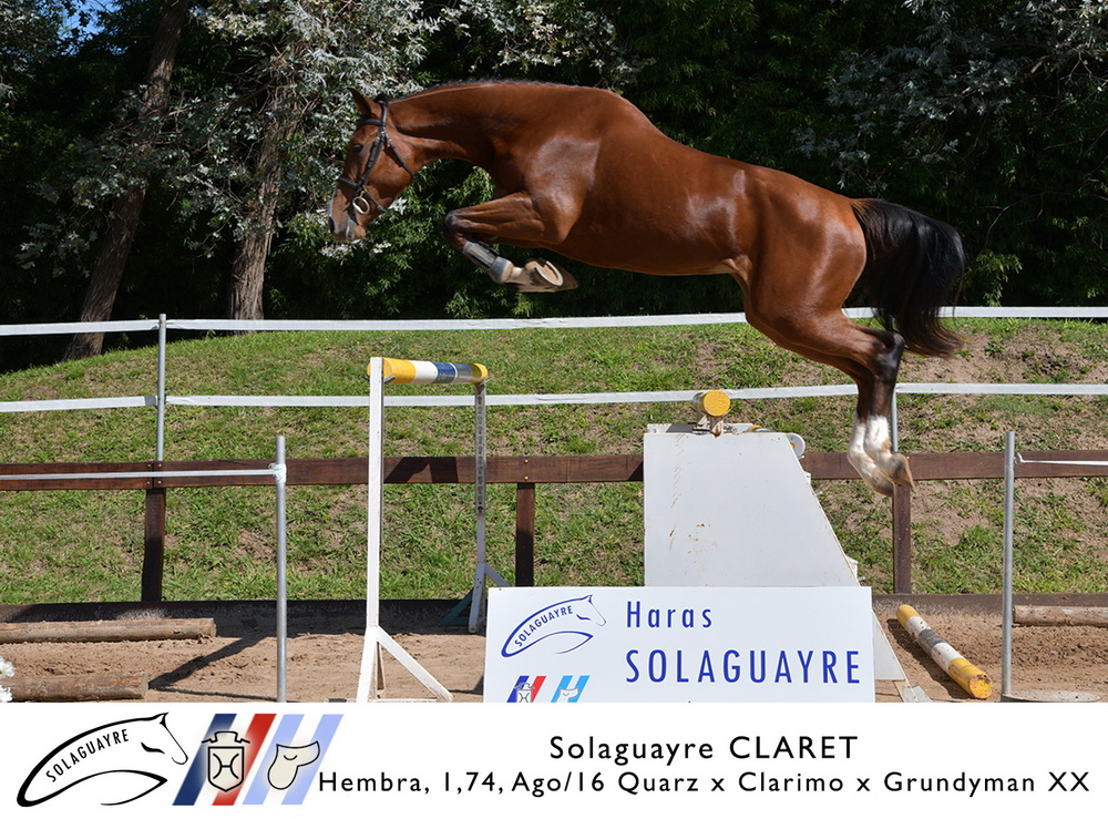 SOLAGUAYRE CLARET